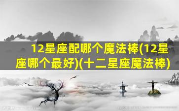 12星座配哪个魔法棒(12星座哪个最好)(十二星座魔法棒)