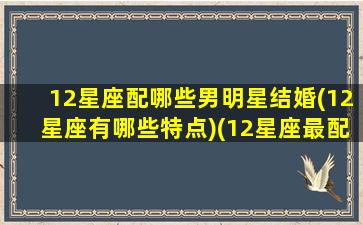 12星座配哪些男明星结婚(12星座有哪些特点)(12星座最配哪个星座结婚)