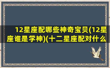 12星座配哪些神奇宝贝(12星座谁是学神)(十二星座配对什么神兽)