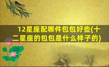 12星座配哪件包包好些(十二星座的包包是什么样子的)