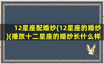 12星座配婚纱(12星座的婚纱)(播放十二星座的婚纱长什么样)