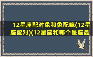 12星座配对兔和兔配嘛(12星座配对)(12星座和哪个星座最搭配)