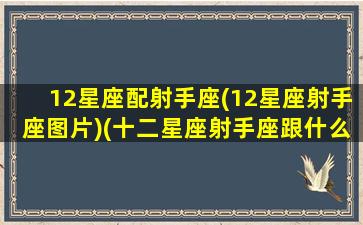 12星座配射手座(12星座射手座图片)(十二星座射手座跟什么星座最匹配)