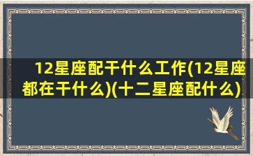 12星座配干什么工作(12星座都在干什么)(十二星座配什么)