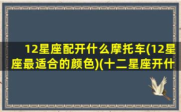 12星座配开什么摩托车(12星座最适合的颜色)(十二星座开什么摩托车)