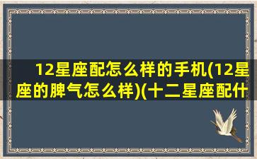 12星座配怎么样的手机(12星座的脾气怎么样)(十二星座配什么样的男生)