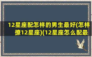 12星座配怎样的男生最好(怎样撩12星座)(12星座怎么配最好)