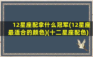 12星座配拿什么冠军(12星座最适合的颜色)(十二星座配色)