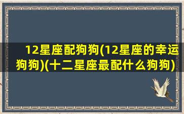 12星座配狗狗(12星座的幸运狗狗)(十二星座最配什么狗狗)