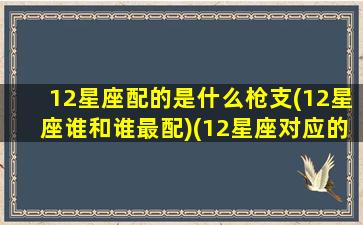 12星座配的是什么枪支(12星座谁和谁最配)(12星座对应的枪械)