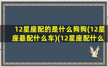 12星座配的是什么狗狗(12星座最配什么车)(12星座配什么宠物)