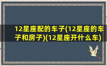 12星座配的车子(12星座的车子和房子)(12星座开什么车)