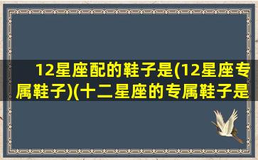 12星座配的鞋子是(12星座专属鞋子)(十二星座的专属鞋子是什么)