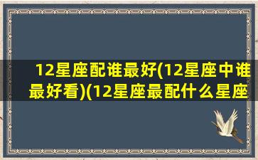 12星座配谁最好(12星座中谁最好看)(12星座最配什么星座配对)