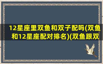 12星座里双鱼和双子配吗(双鱼和12星座配对排名)(双鱼跟双子座的星座配对)