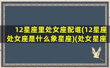 12星座里处女座配谁(12星座处女座是什么象星座)(处女星座和什么星座最配对)