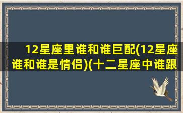 12星座里谁和谁巨配(12星座谁和谁是情侣)(十二星座中谁跟谁最配)