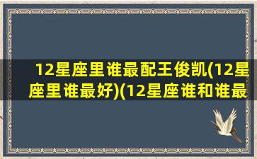 12星座里谁最配王俊凯(12星座里谁最好)(12星座谁和谁最适合在一起)