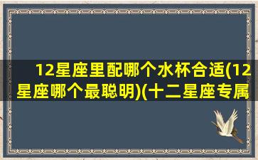 12星座里配哪个水杯合适(12星座哪个最聪明)(十二星座专属的水杯)