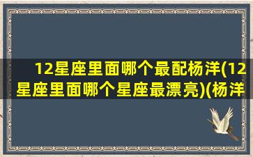 12星座里面哪个最配杨洋(12星座里面哪个星座最漂亮)(杨洋的星座配对)