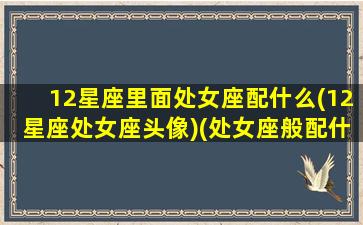 12星座里面处女座配什么(12星座处女座头像)(处女座般配什么星座的人)