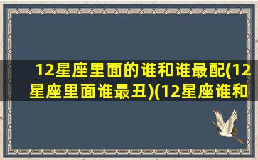 12星座里面的谁和谁最配(12星座里面谁最丑)(12星座谁和谁最般配)