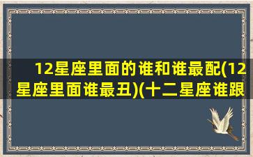 12星座里面的谁和谁最配(12星座里面谁最丑)(十二星座谁跟谁最般配)