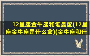 12星座金牛座和谁最配(12星座金牛座是什么命)(金牛座和什么星座配对指数是多少)