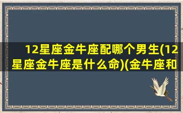 12星座金牛座配哪个男生(12星座金牛座是什么命)(金牛座和什么星座的男人最配)