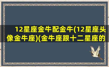 12星座金牛配金牛(12星座头像金牛座)(金牛座跟十二星座的搭配)