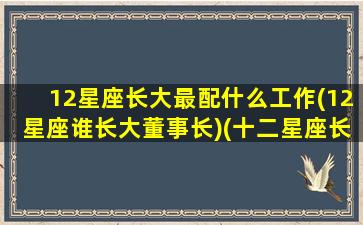 12星座长大最配什么工作(12星座谁长大董事长)(十二星座长大适合干什么工作)