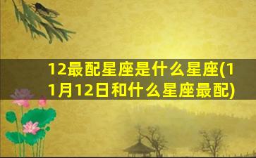 12最配星座是什么星座(11月12日和什么星座最配)