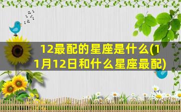 12最配的星座是什么(11月12日和什么星座最配)