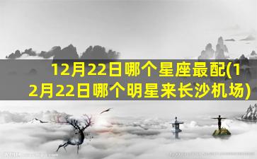 12月22日哪个星座最配(12月22日哪个明星来长沙机场)