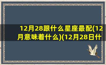 12月28跟什么星座最配(12月意味着什么)(12月28日什么星座阳历)