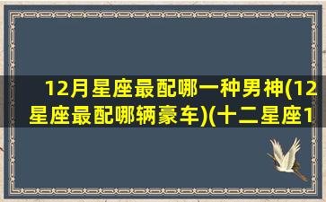 12月星座最配哪一种男神(12星座最配哪辆豪车)(十二星座12月份)