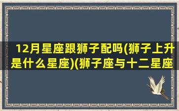 12月星座跟狮子配吗(狮子上升是什么星座)(狮子座与十二星座)