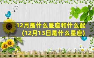 12月是什么星座和什么配(12月13日是什么星座)