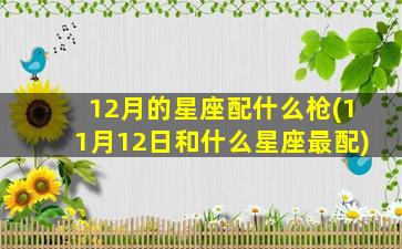 12月的星座配什么枪(11月12日和什么星座最配)