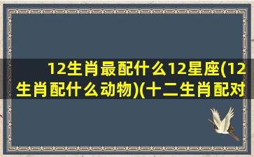 12生肖最配什么12星座(12生肖配什么动物)(十二生肖配对中谁是你的最佳婚配)