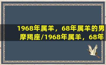 1968年属羊，68年属羊的男摩羯座/1968年属羊，68年属羊的男摩羯座-我的网站