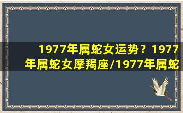 1977年属蛇女运势？1977年属蛇女摩羯座/1977年属蛇女运势？1977年属蛇女摩羯座-我的网站