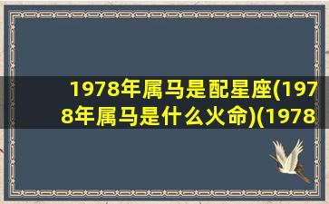 1978年属马是配星座(1978年属马是什么火命)(1978年属什么生肖配对最好)