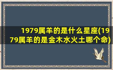 1979属羊的是什么星座(1979属羊的是金木水火土哪个命)