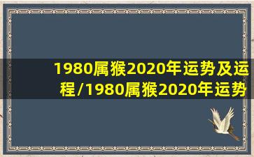 1980属猴2020年运势及运程/1980属猴2020年运势及运程-我的网站(1980生肖猴2020年运势大全)