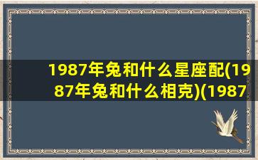 1987年兔和什么星座配(1987年兔和什么相克)(1987的兔和什么配合适)