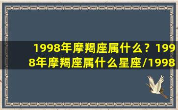 1998年摩羯座属什么？1998年摩羯座属什么星座/1998年摩羯座属什么？1998年摩羯座属什么星座-我的网站