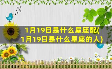 1月19日是什么星座配(1月19日是什么星座的人)