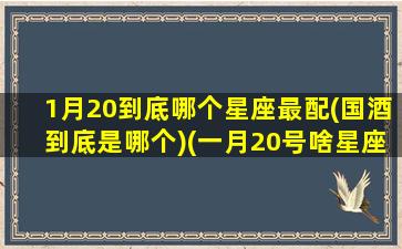 1月20到底哪个星座最配(国酒到底是哪个)(一月20号啥星座)