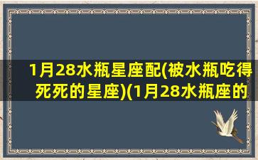 1月28水瓶星座配(被水瓶吃得死死的星座)(1月28水瓶座的上升星座是多少)